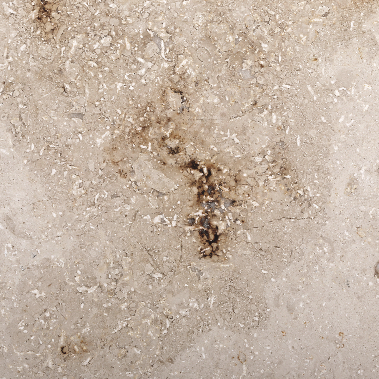 Marbre du Jura Argent – Édition Linéaire