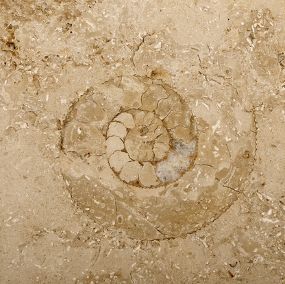 Jura Marble Edition Linéaire